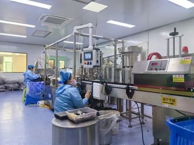 通化 人參產業“新新”向榮，西洋參成新亮點